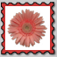 Visit My Mail Stamp!