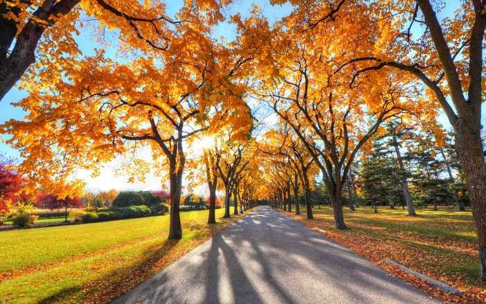 ws_Autumn_Park_Sunlight_Road_1920x1200