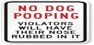 poop
