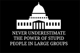Image result for Never underestimate the power of stupid people