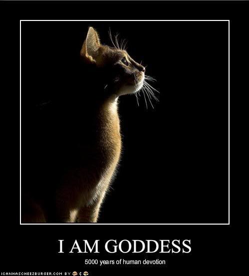 Cat Goddess
