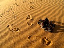 Shake Sand