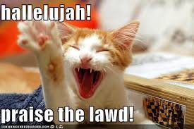 Image result for hallelujah animal
