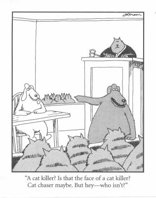 https://3.bp.blogspot.com/_9ihK9_CfYX0/S7nZBZ7y-0I/AAAAAAAACUY/o7kMVh_3L7g/s400/gary+larson.jpg