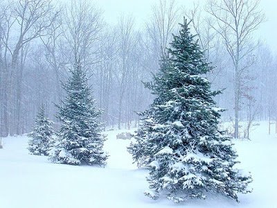 http://2.bp.blogspot.com/__-XZU8KS1Bo/SUsF4OBwsCI/AAAAAAAAASc/PZRWF8bccns/s400/snow+storm.jpg