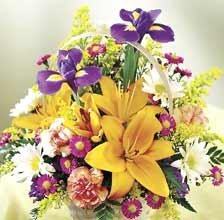 Image of Spring Flowers
