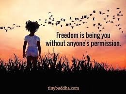 Image result for Freedom