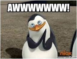 Image result for awwwwwww