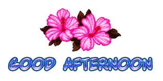 Image result for good afternoon