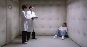 Image result for Man in padded room
