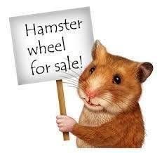 Image result for hamster wheel for sale