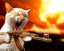 http://45.media.tumblr.com/YyXwbMbaOoa3vpro2f1W5aoso1_250.gif