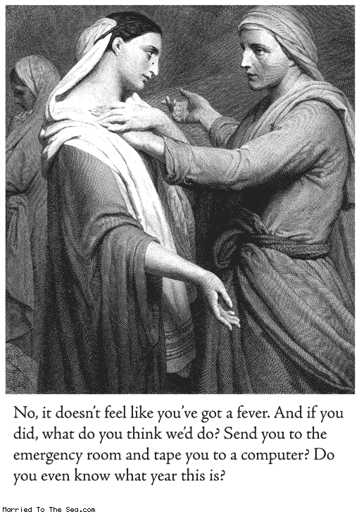 http://www.marriedtothesea.com/071306/fever-computer.gif