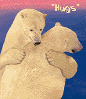 polrbear.gif