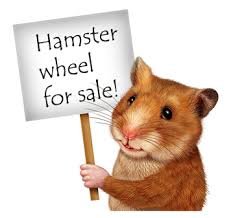 Image result for hamster wheel