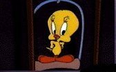Tweety picture no.0131