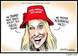 Image result for Kellyanne conway alternative facts