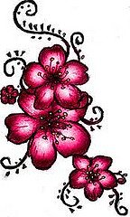imagesCAMOLBD4
