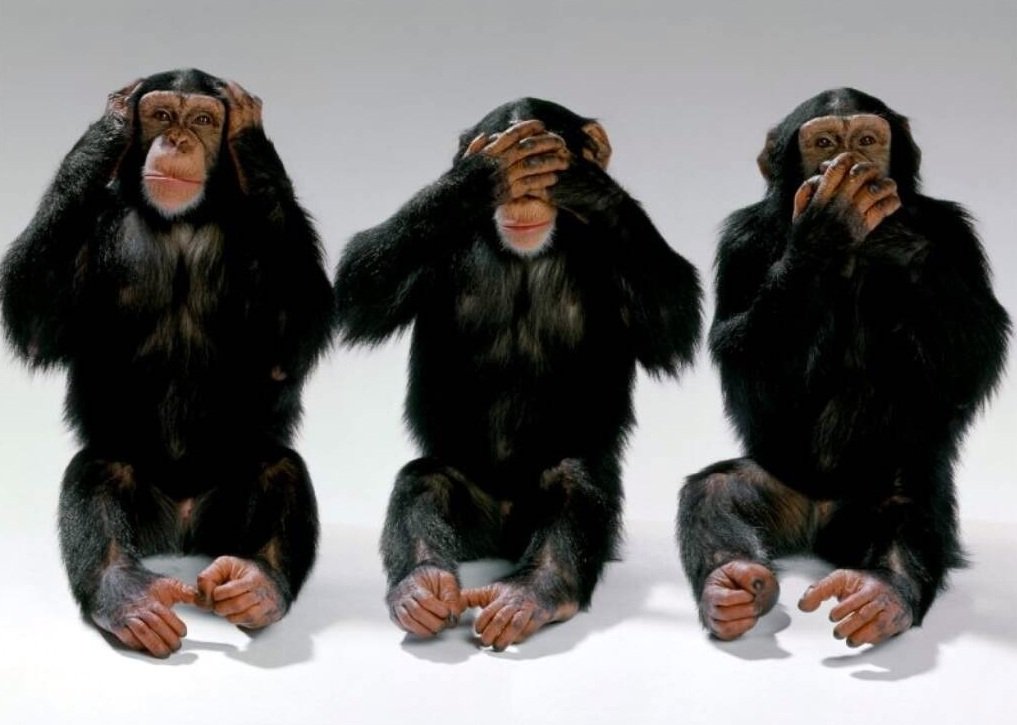 Image result for hear no evil, see no evil, speak no evil monkeys
