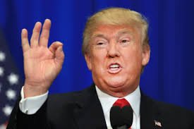 Image result for donald trump