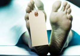 Image result for toe tag