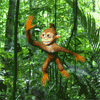 Swinging Monkey