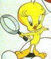 Tweety picture no.0028