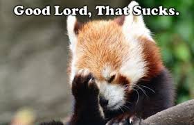 Image result for Well that sucks