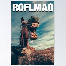Roflmao Posters for Sale | Redbubble