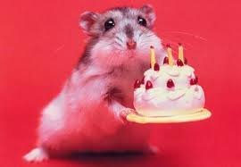 Image result for happy birthday