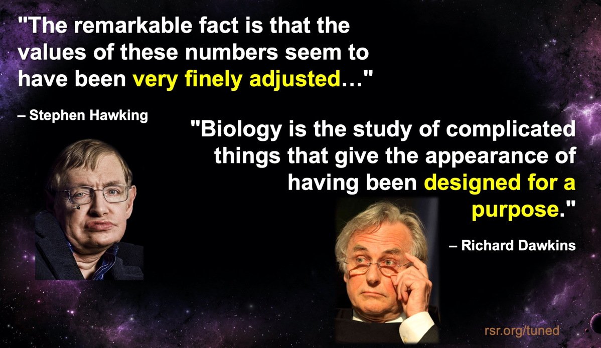 Hawking & Dawkins quotes admitting that the universe and life all look designed
