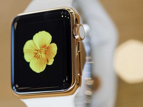 apple watch gold edition
