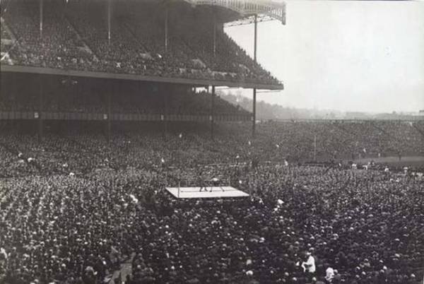 18 boxin match crows
