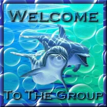 dolphin welcome