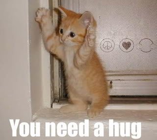 Kitty hug