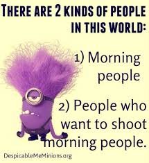 Image result for Funny good morning
