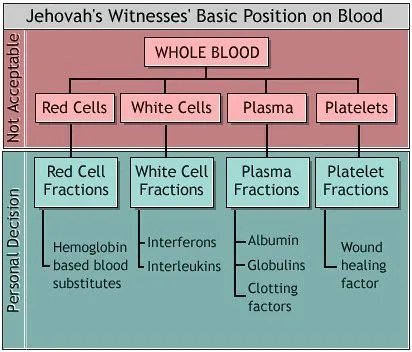 bloodchart2004