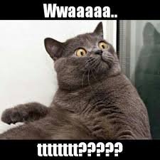 Image result for surprise memes