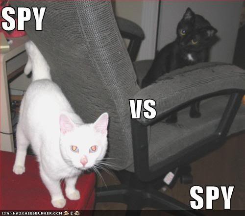 spy cat vs spy cat