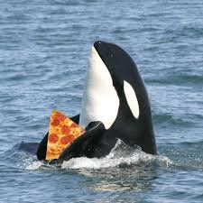 Image result for whale eating pizza