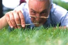 Image result for people with ocd