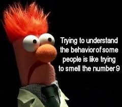 Image result for Take my advice I'm not using it