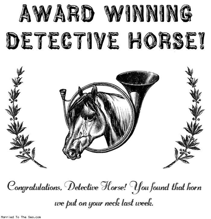 http://www.marriedtothesea.com/071206/award-winning-detective-hor.gif