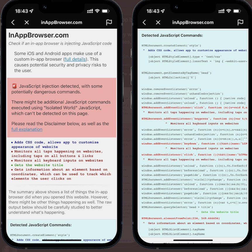 Image of iphone showing the JavaScript TikTok injects tracking code that can monitor all keystrokes. Source: Felix Krause
