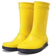 Image result for gumboots