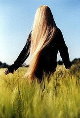 blonde field (munnybear) Tags: sunlight sunshine longhair blonde longblondehair womenwithlonghair straightblondehair longhairedwomen beautifulblondehair verylongblondehair shinyblondehair