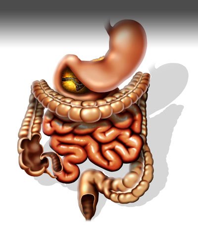 colon