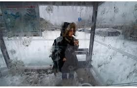Glass Shelter