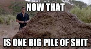 Image result for Big pile of shit
