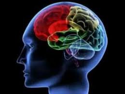 Image result for mental disorders .com